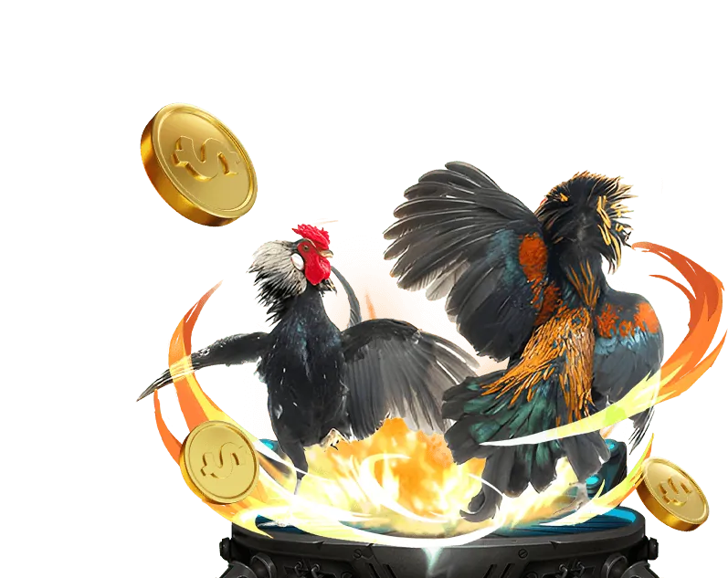 Chương Trình VIP Thomo 88